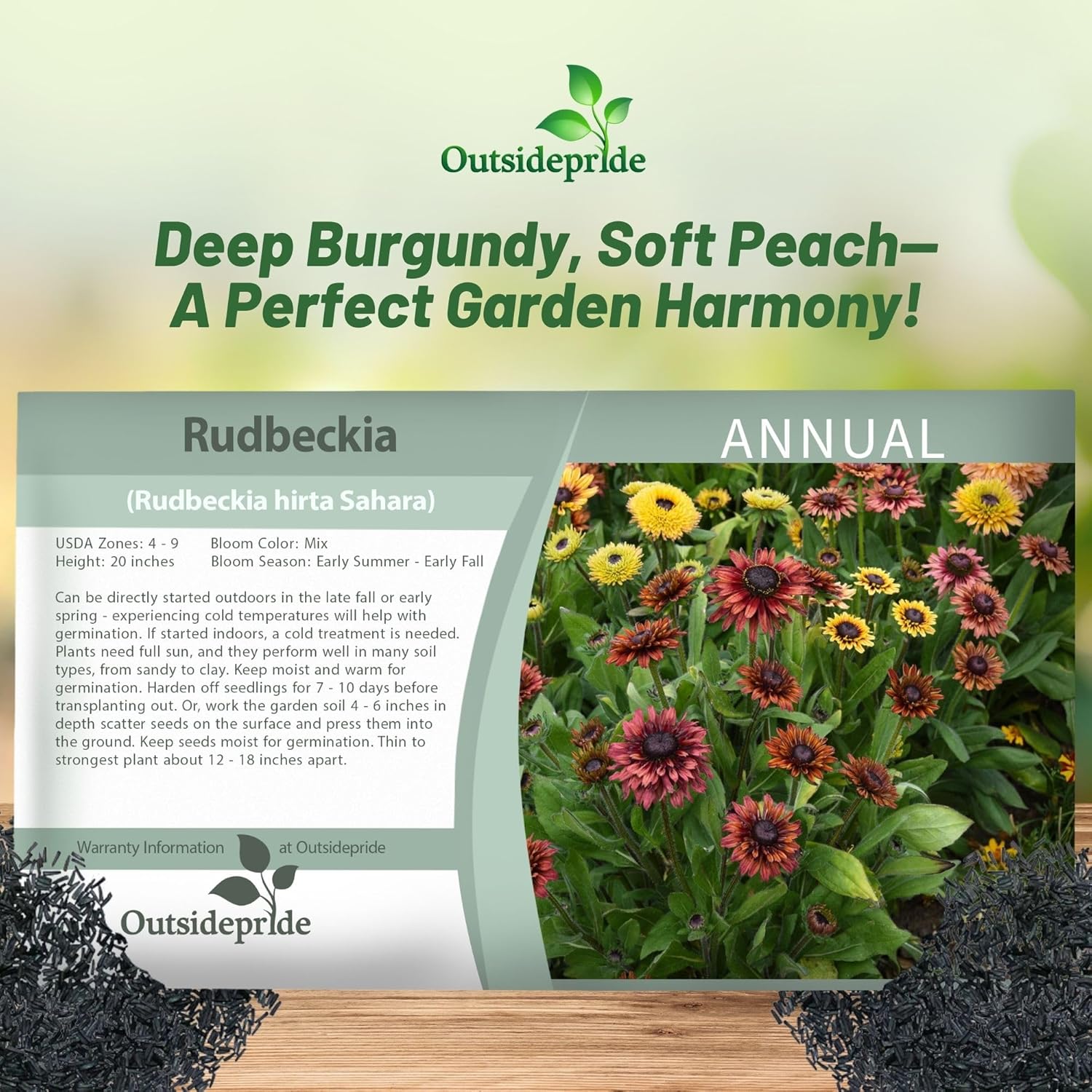 Rudbeckia Hirta Sahara Seed Packet