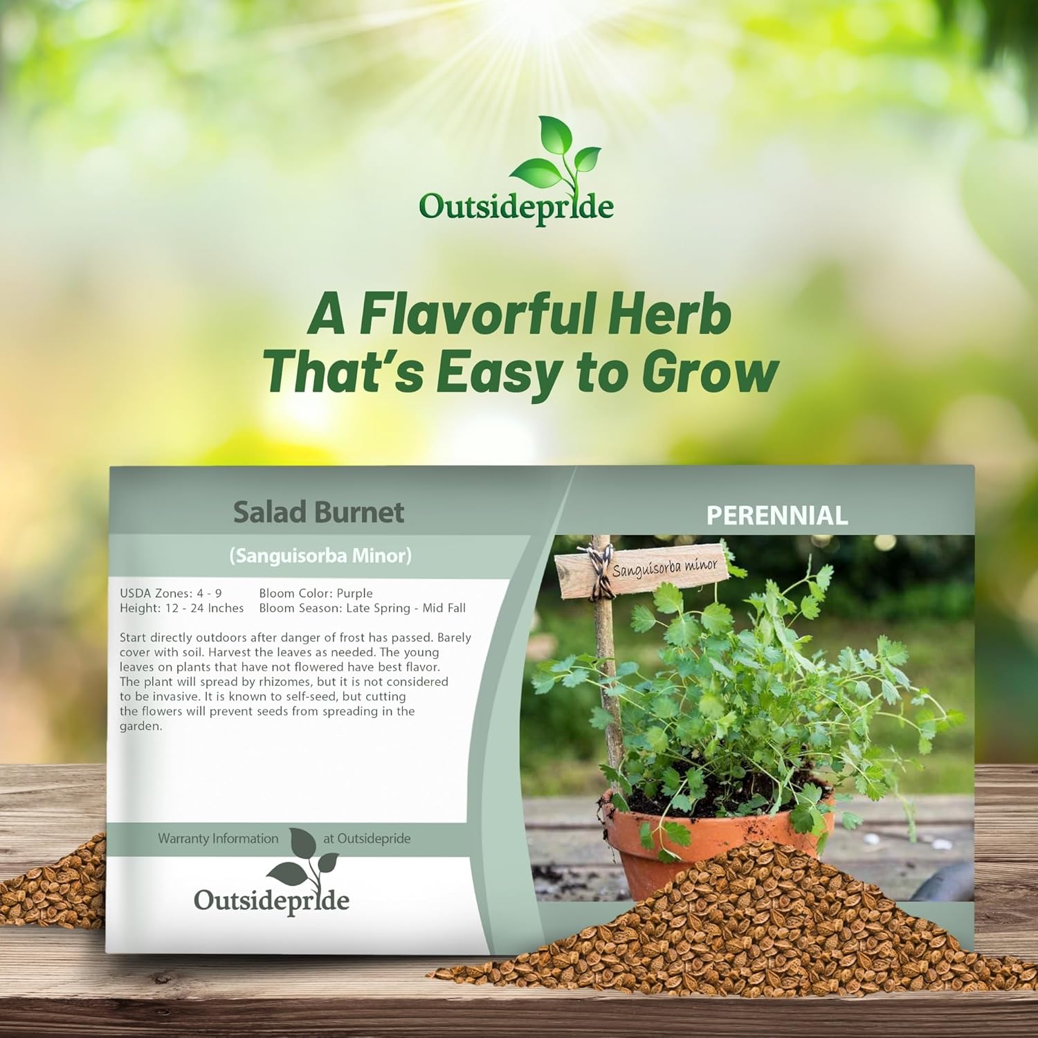 Saled Burnet Herb Seed Packet