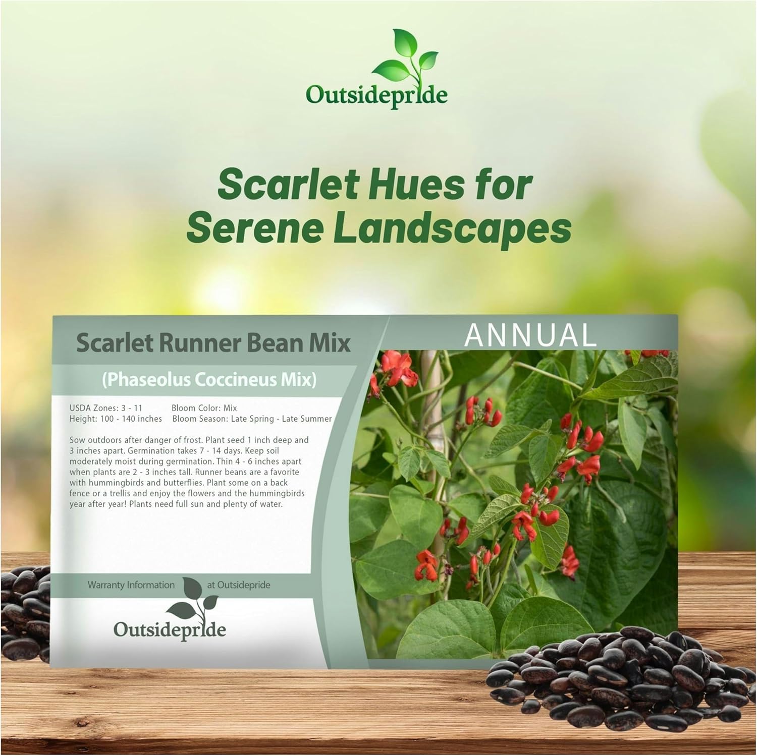 Scarlet Runner Beans Vegetable Seed Packet