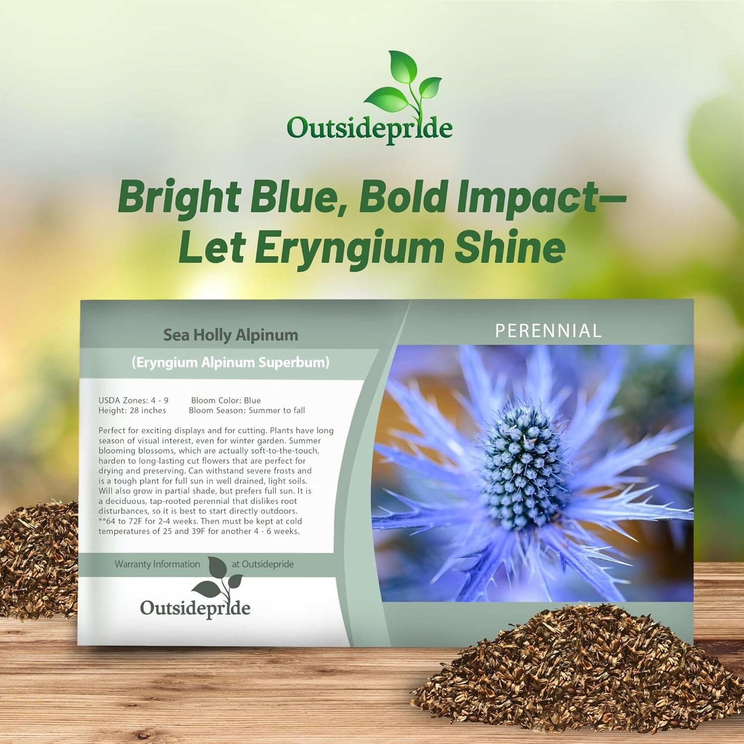 Sea Holly Alpinum Seed Packet