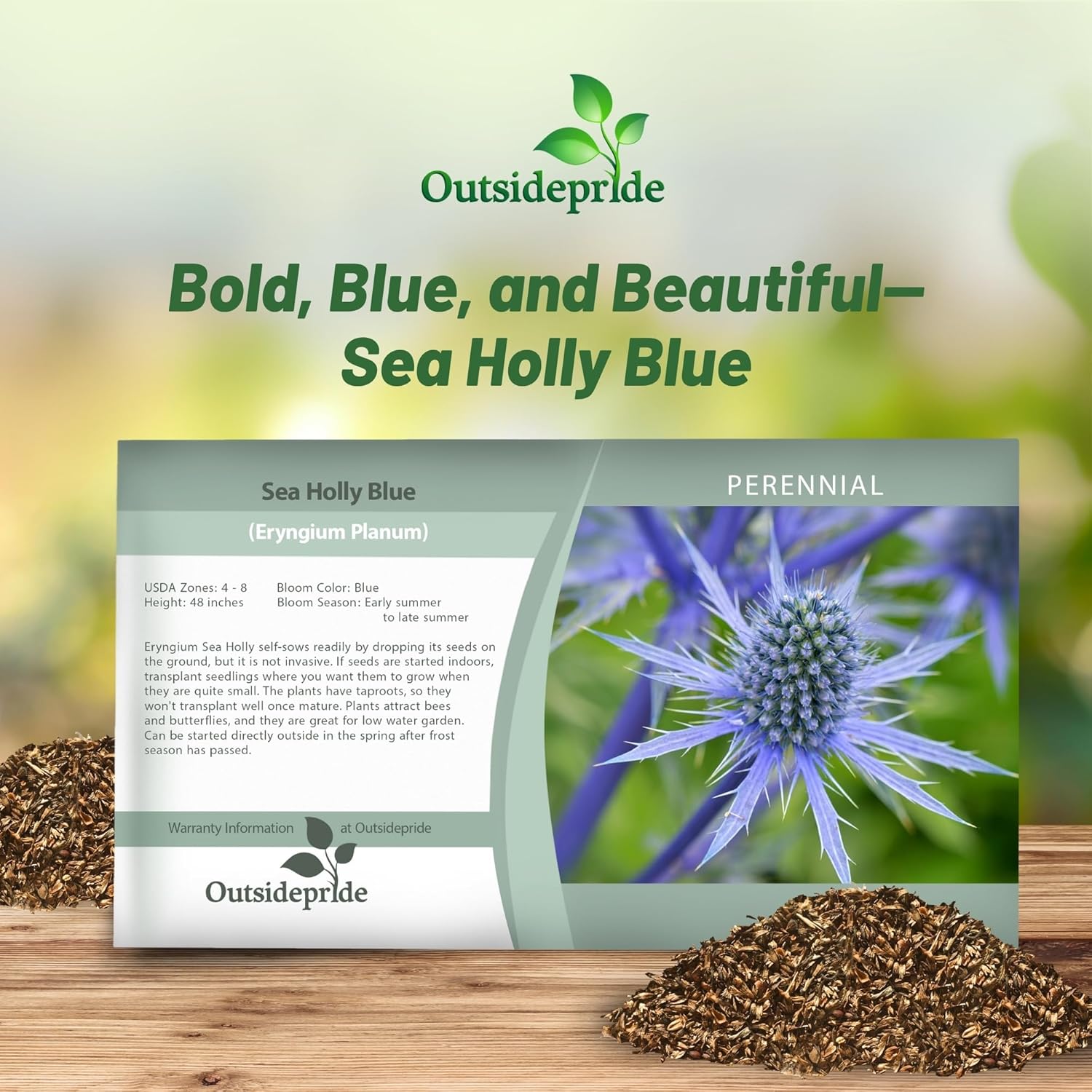 Sea Holly Planum Seed Packet