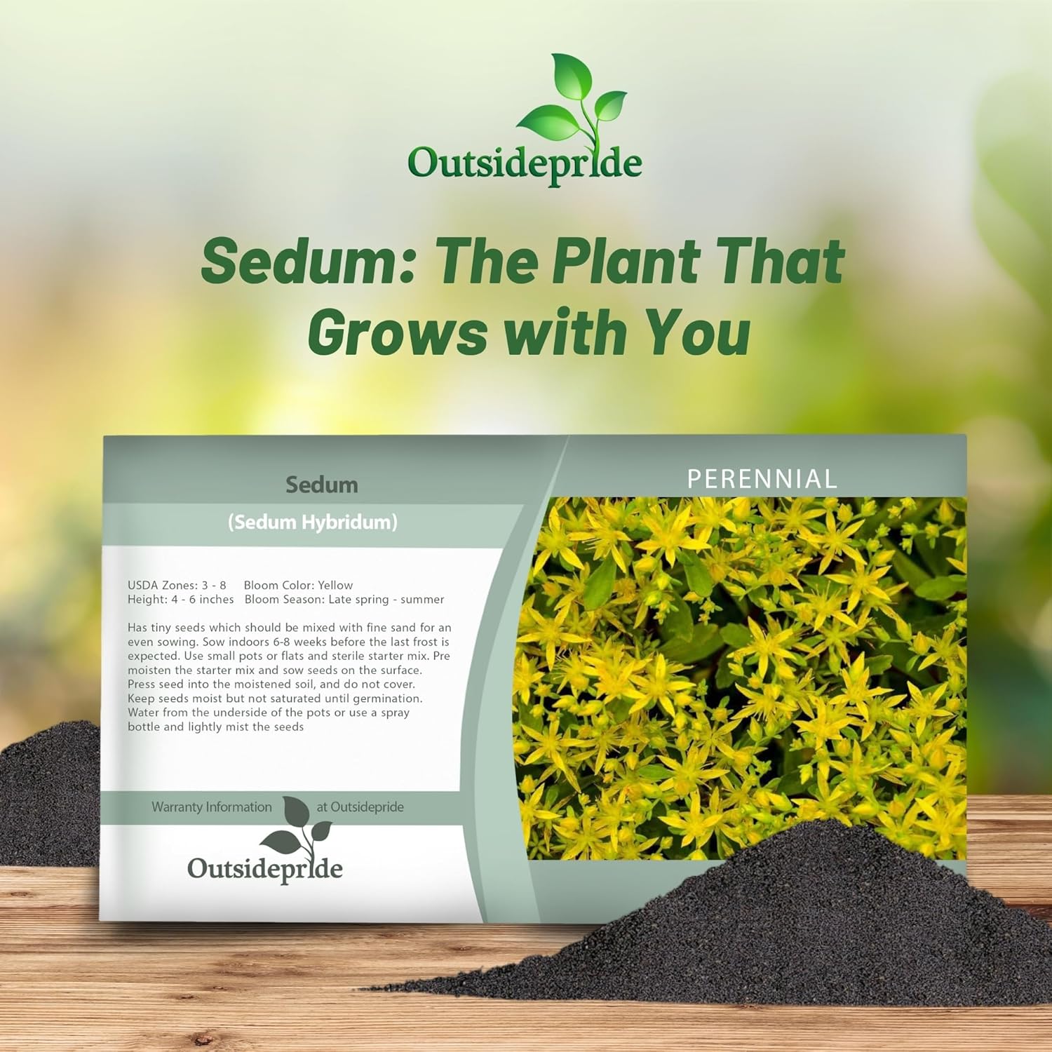 Yellow Sedum Hybridum Seed Packet