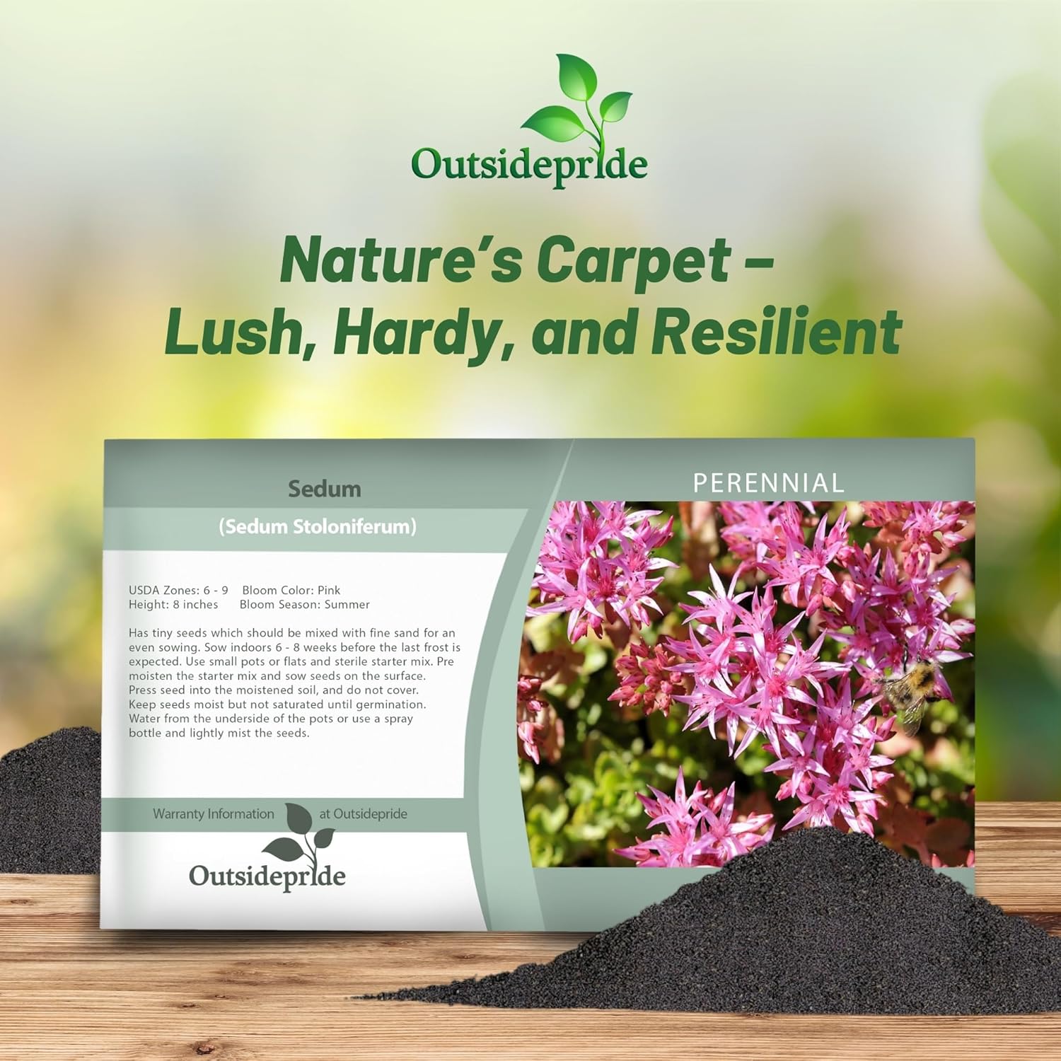 Sedum Stoloniferum Seed Packet