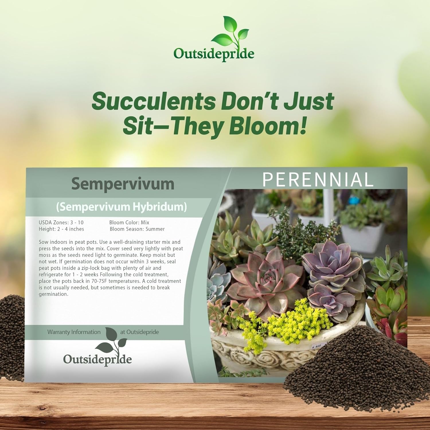 Sempervivum Hybridum Ground Cover Seed Packet