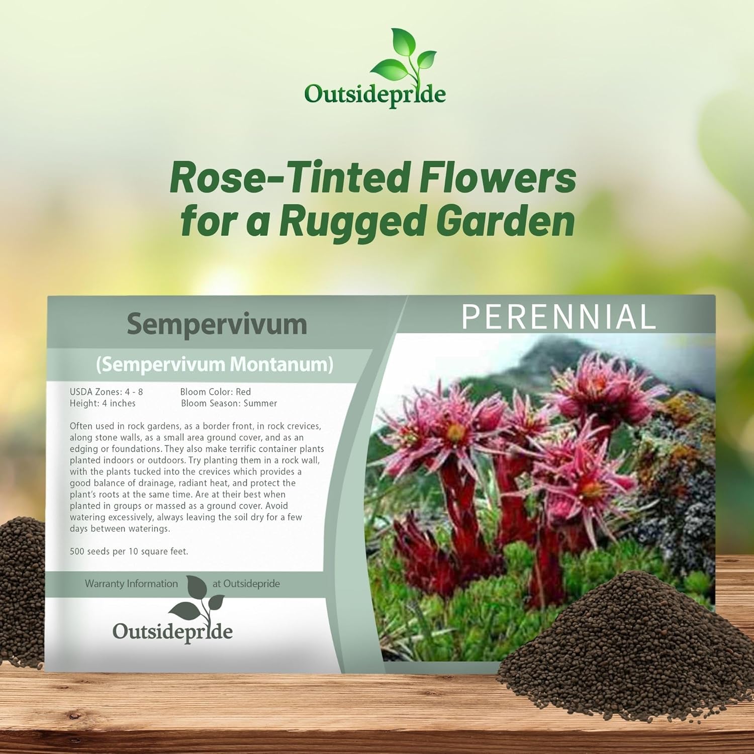 Sempervivum Montanum Ground Cover Seed Packet