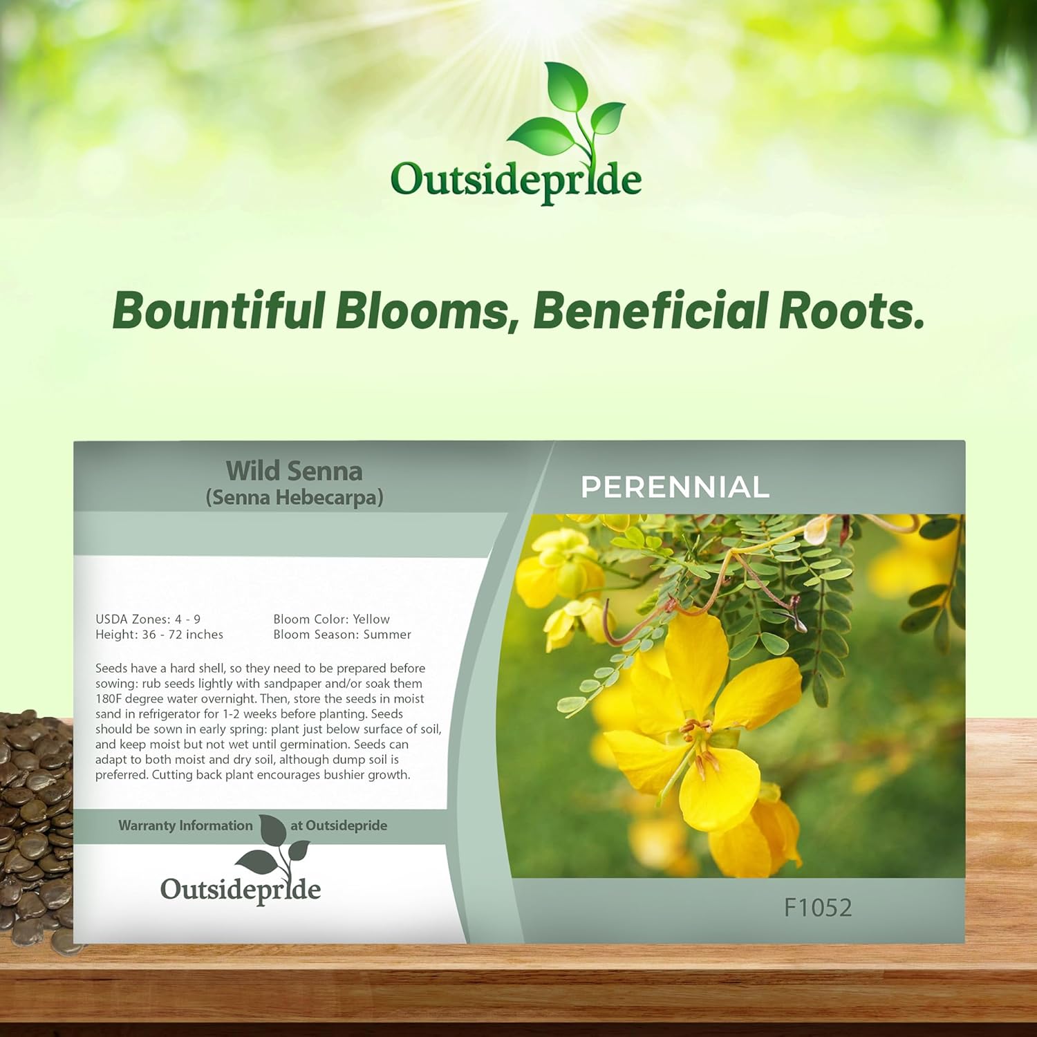 Senna Herb Seed Packet