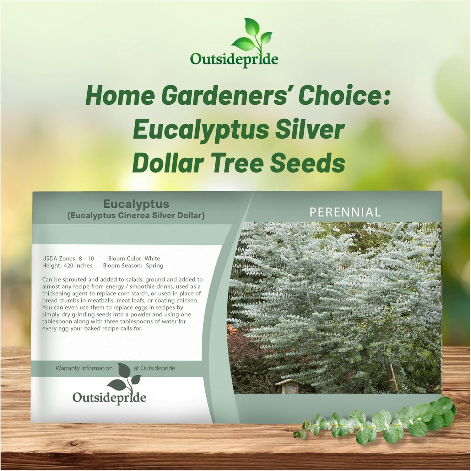 Eucalyptus Cinerea Silver Dollar Seed Packet
