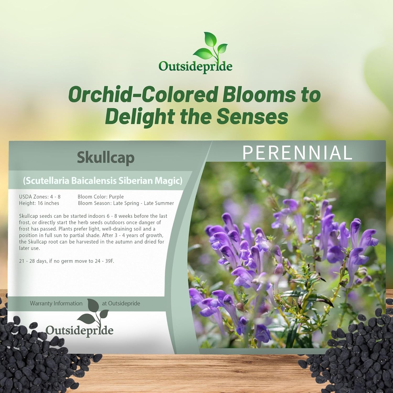 Perennial Baikal Skullcap Seed Packet