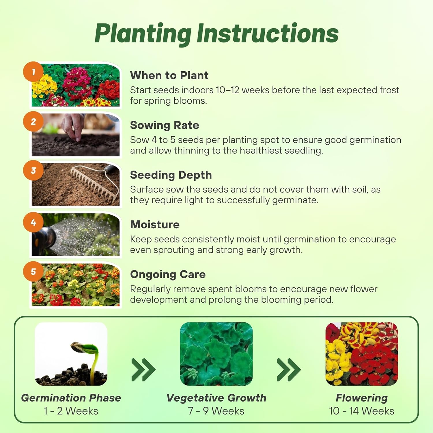 Slipper Flower Seed Planting Directions