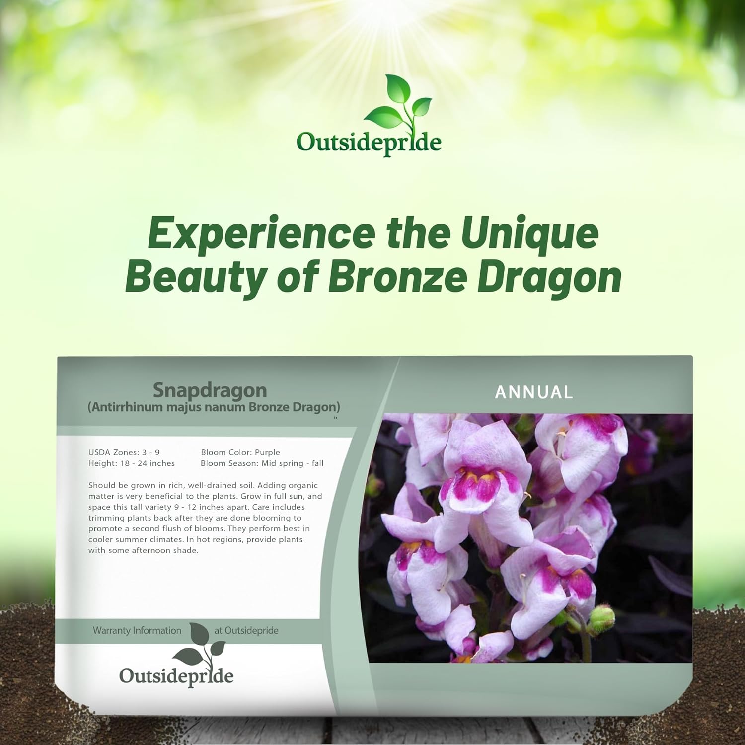 Snapdragon Bronze Dragon Seed Packet