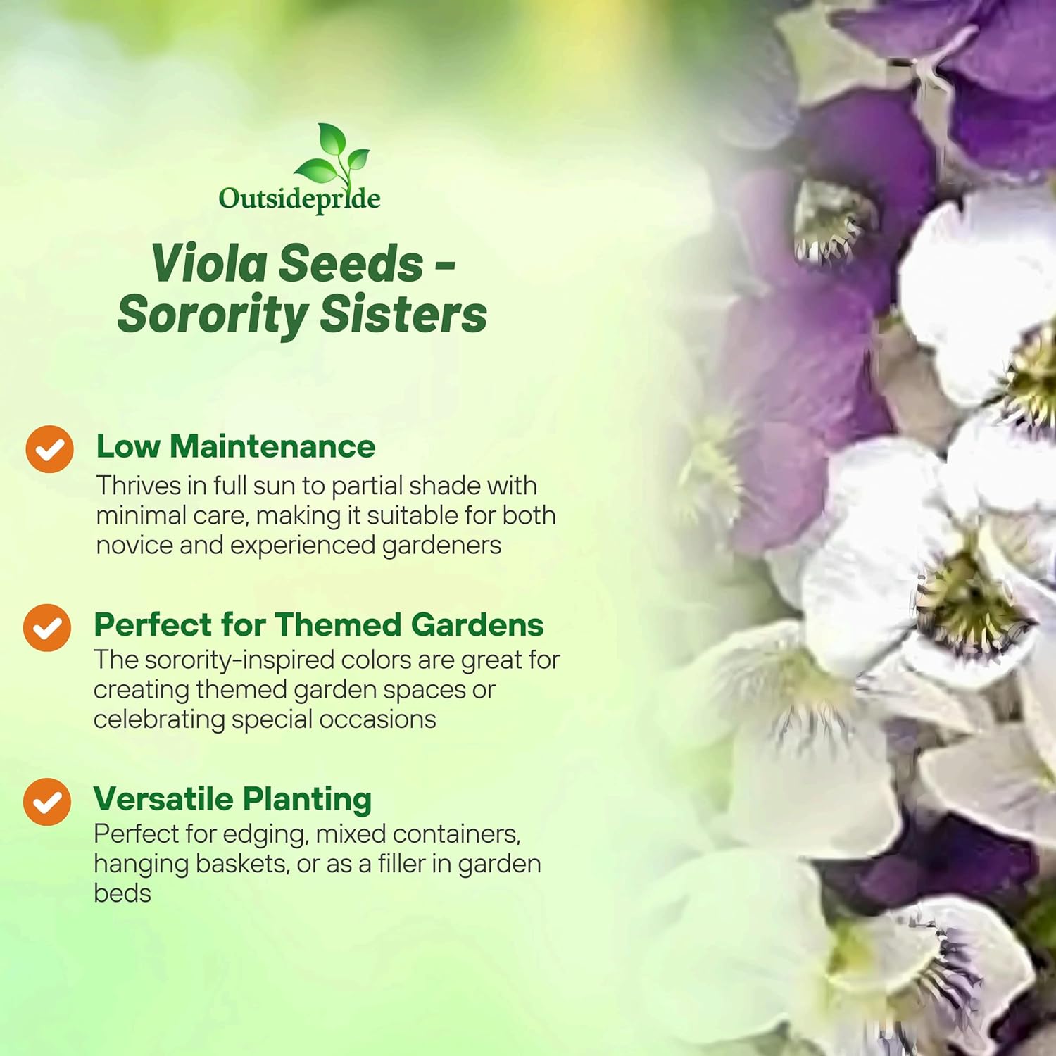 Viola Sorority Sisters Seed Mix