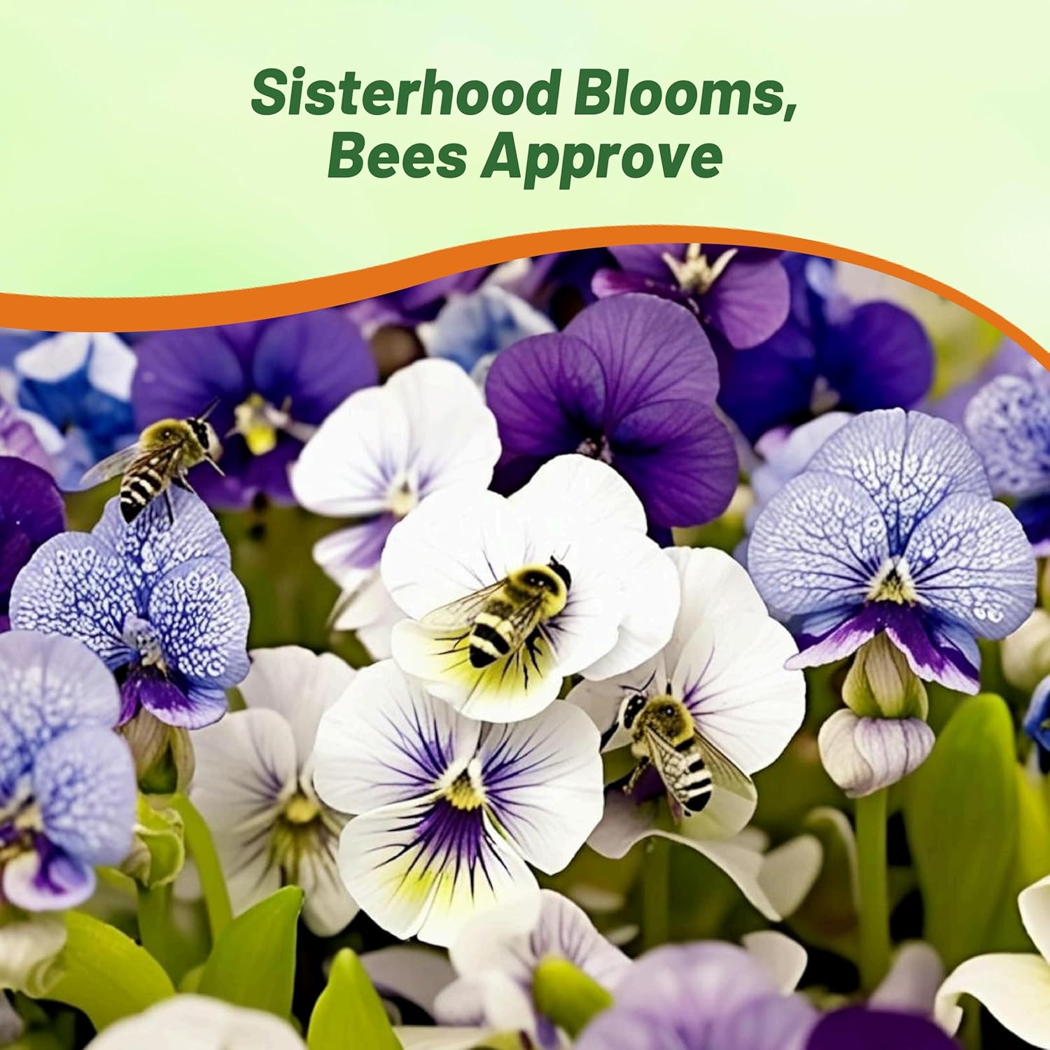 Viola Sorority Sisters Flower Garden