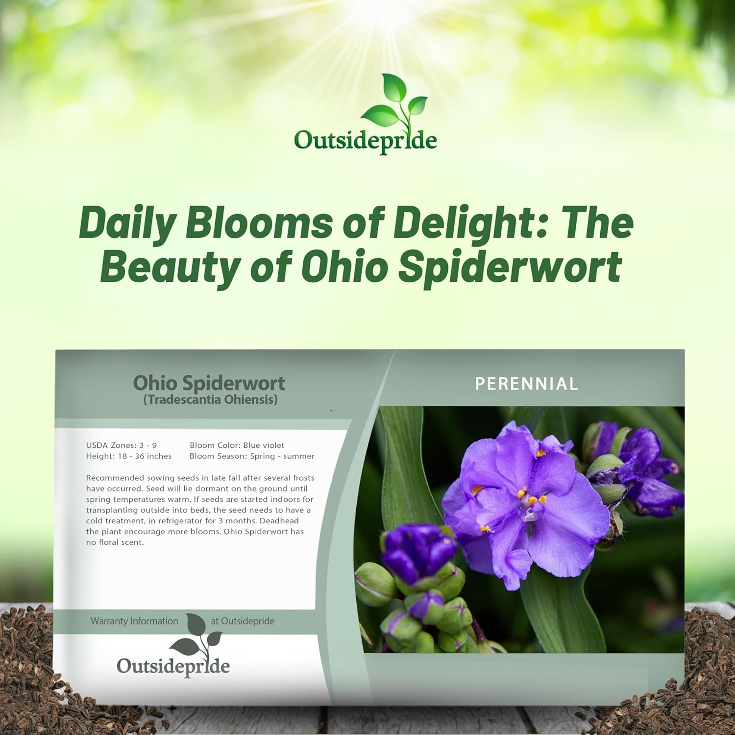 Ohio Spiderwort Flower Seed Packet