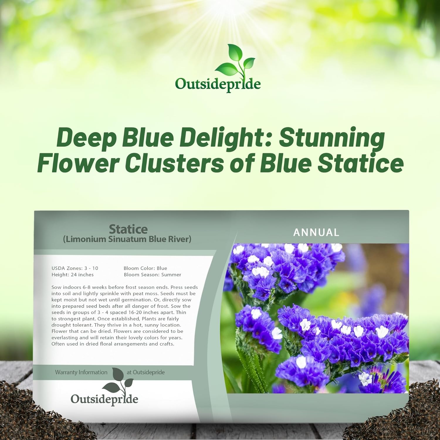 Limonium Statice Blue Flower Seed Packet