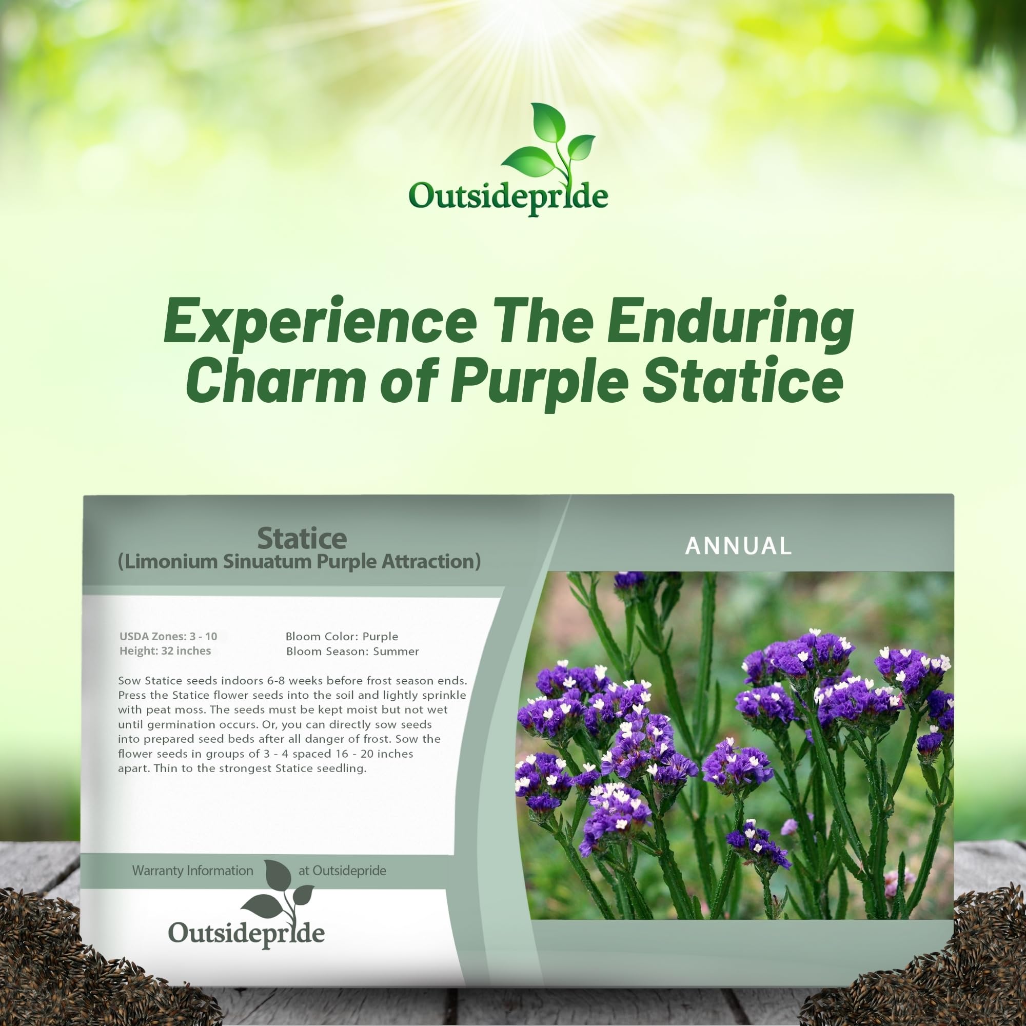 Statice Purple Flower Seed Packet