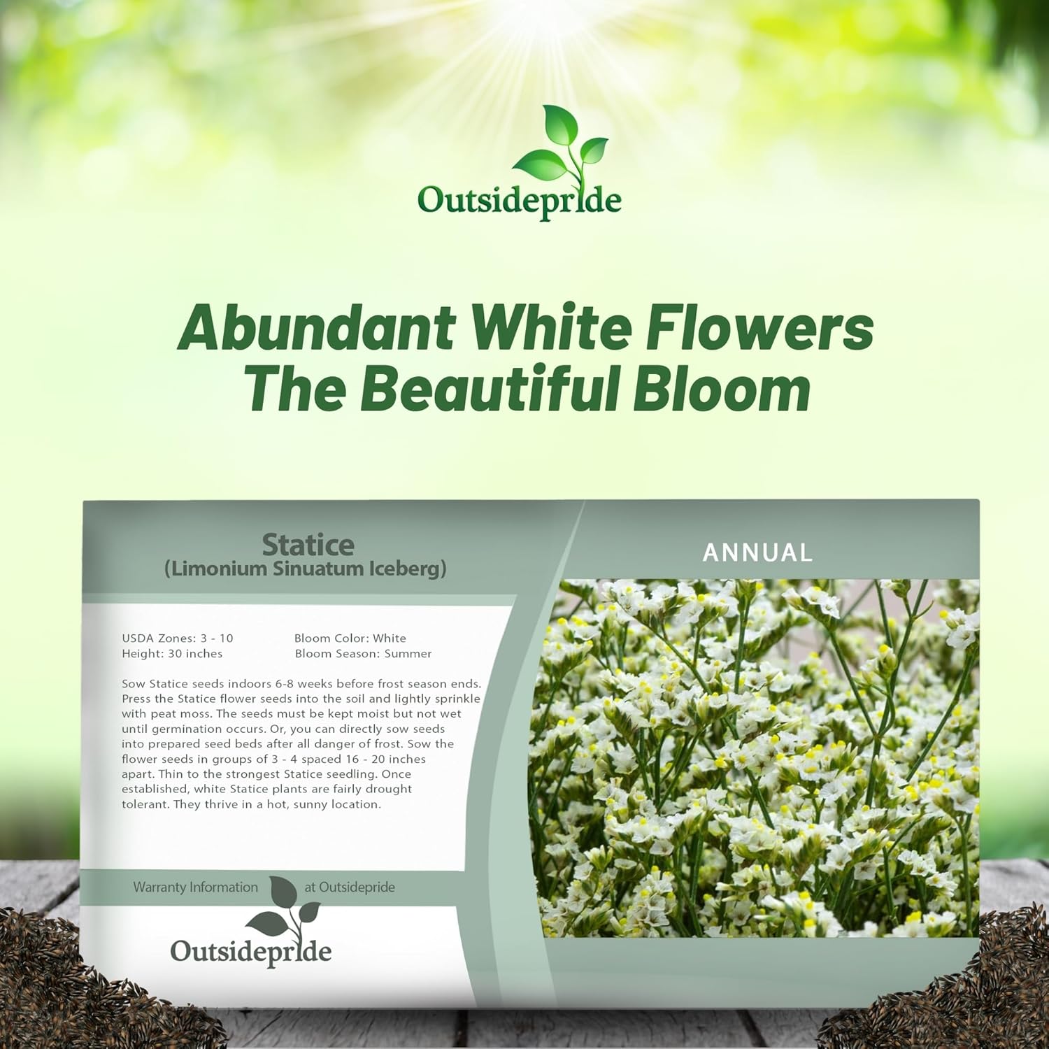 Annual White Limonium Flower Seed Packet