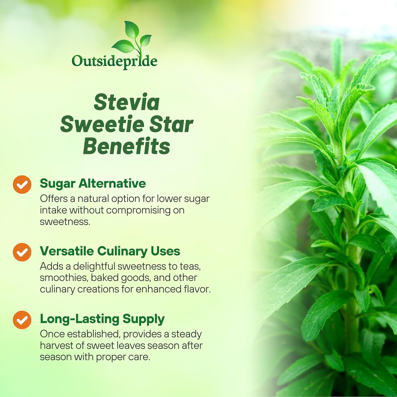 Natural Stevia Sweetie Sugar Sweetener