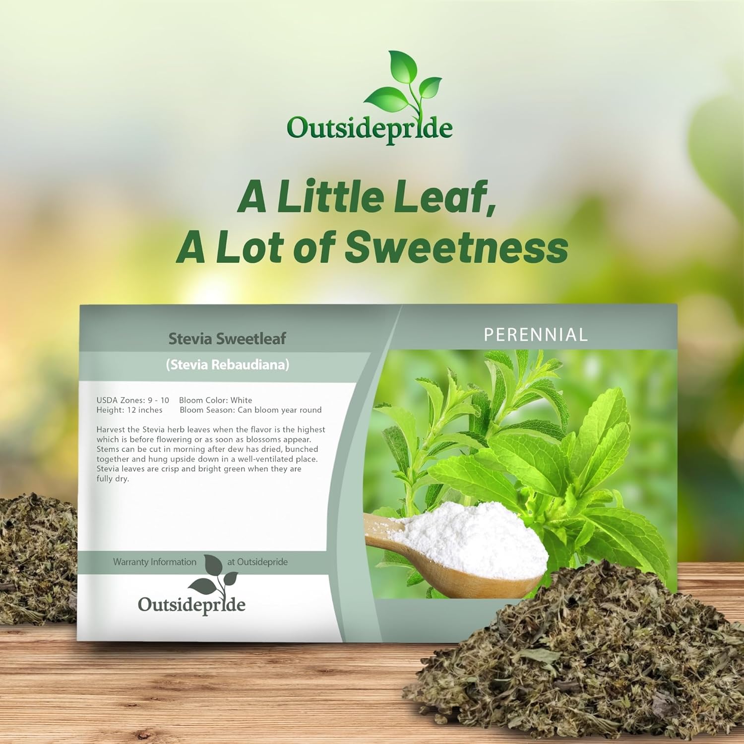 Stevia Sweetleaf Herb Seed Packet