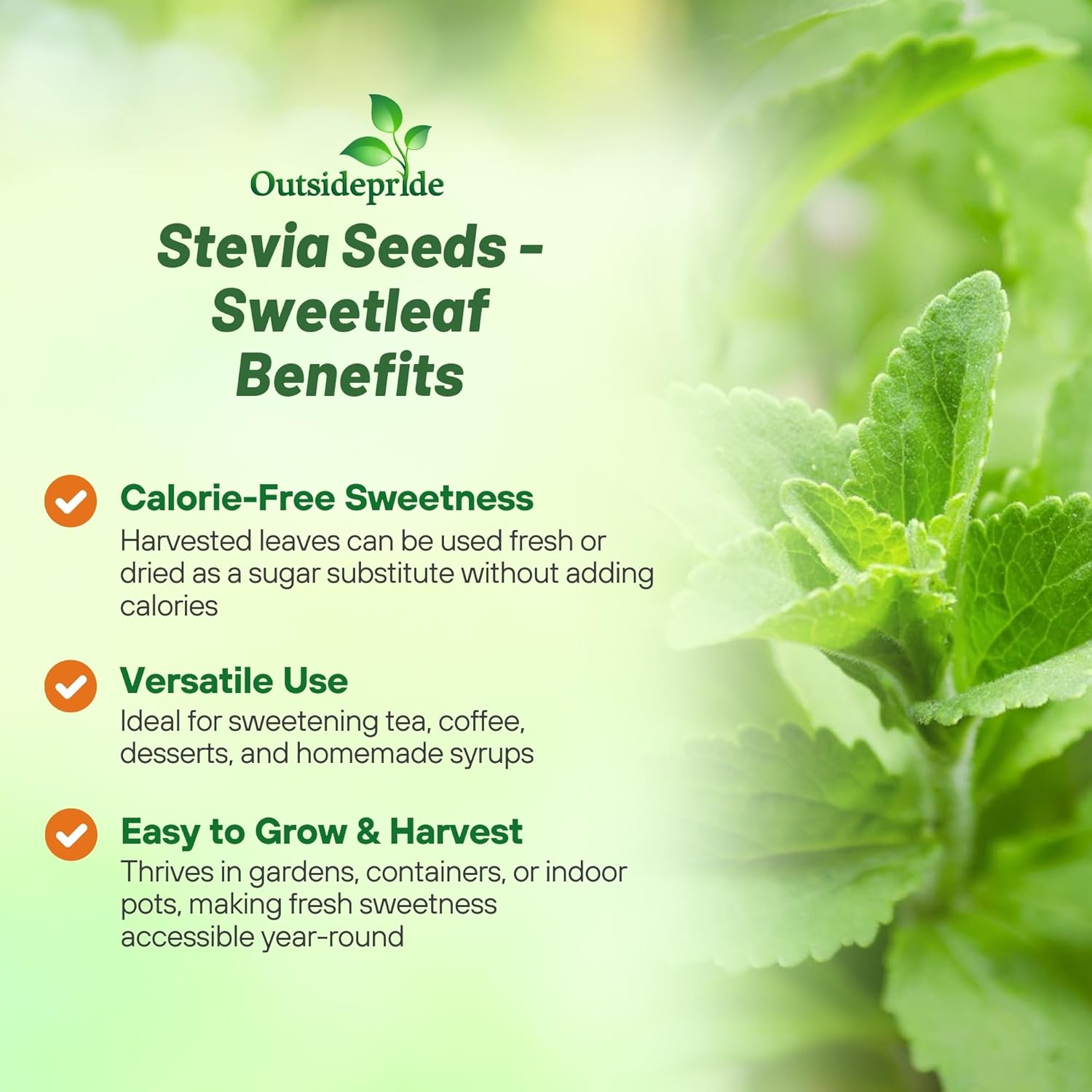 Stevia Sweetleaf Natural Sweetener