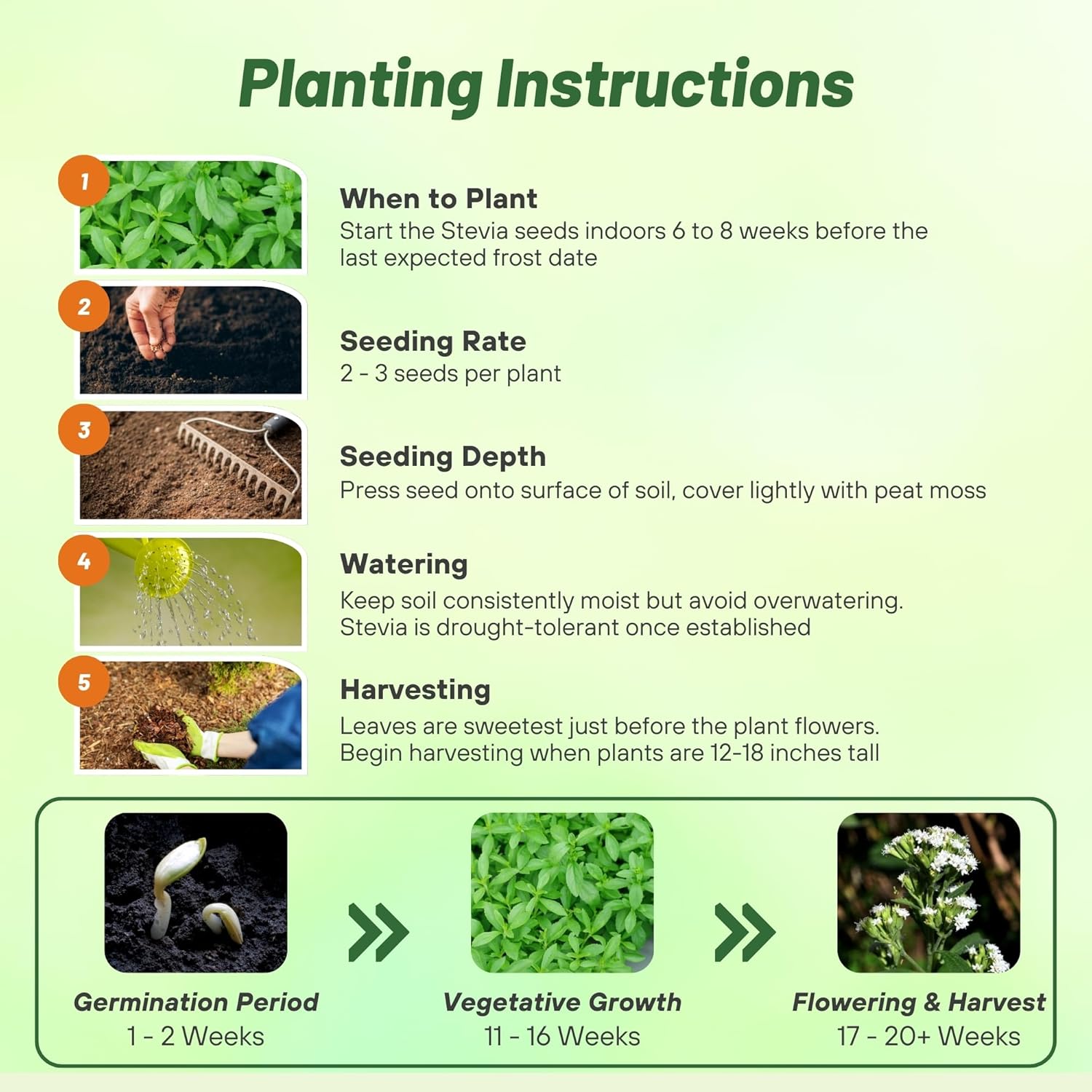 Stevia Sweetleaf Sugar Substitute