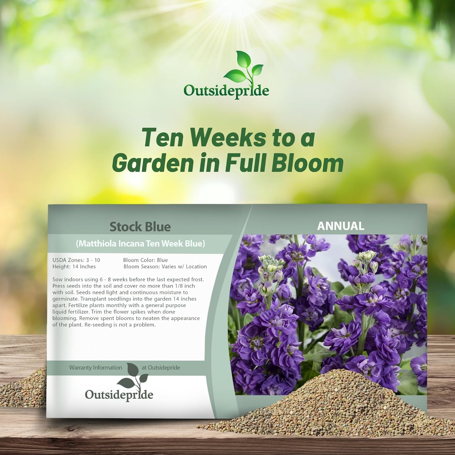 Stock Blue Flower Seed Packet