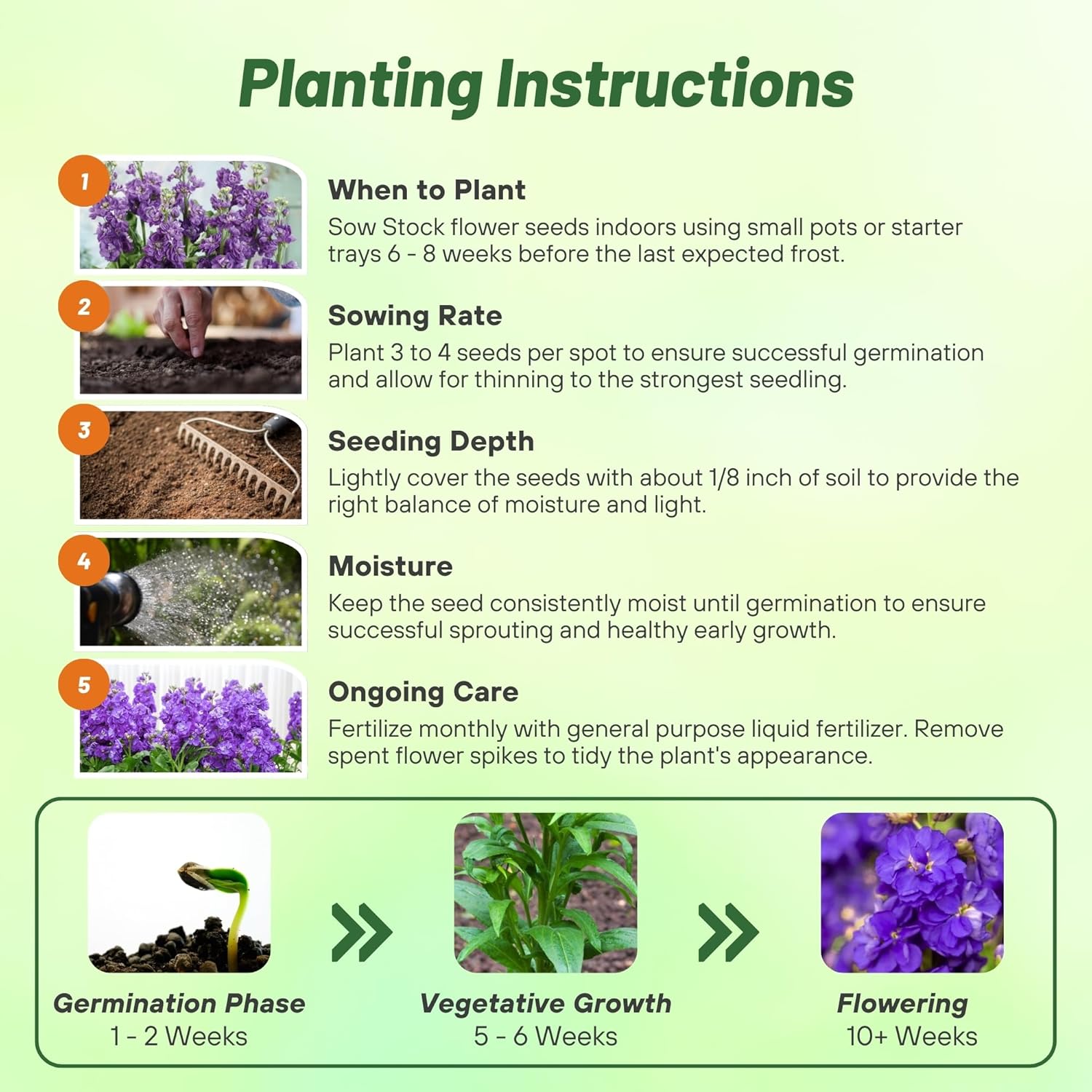 Stock Blue Flower Seed Planting Directions