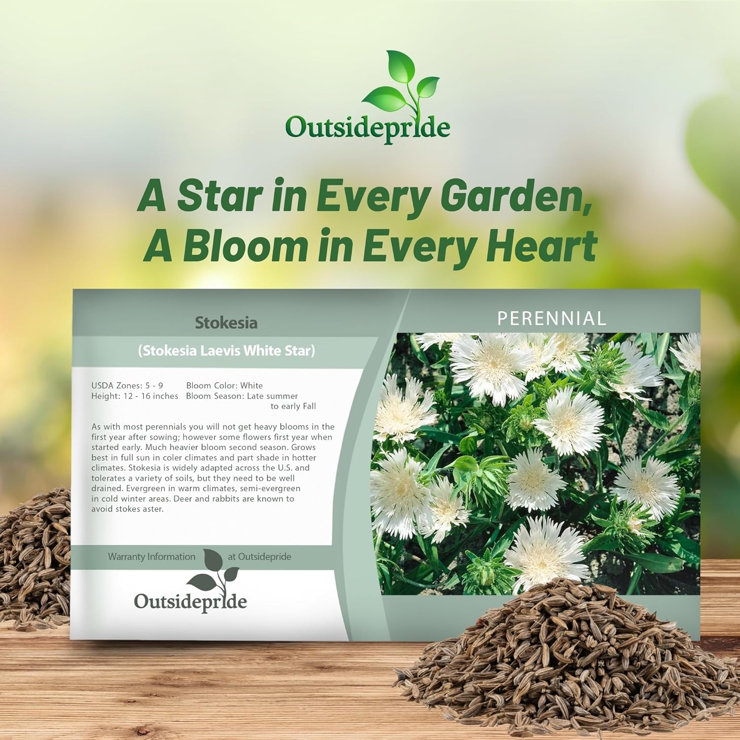 Stokesia White Flower Seed Packet