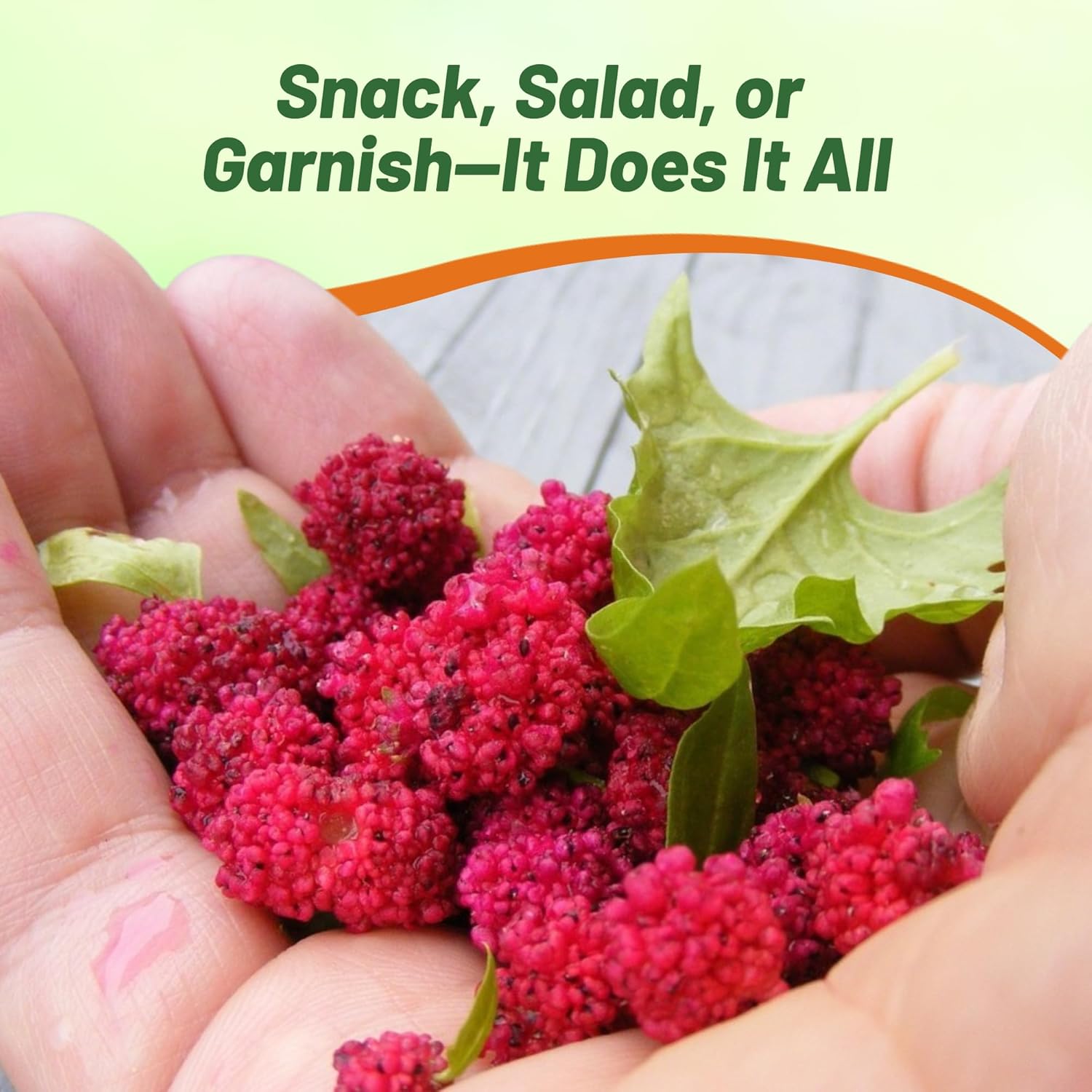 Annual Strawberry Spinach With Fruits