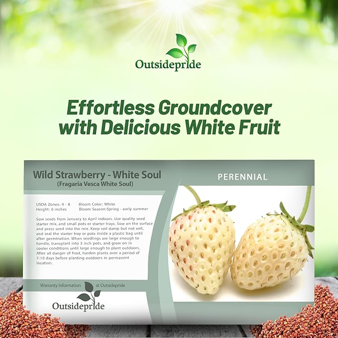 Strawberry White Fruit Seed Packet