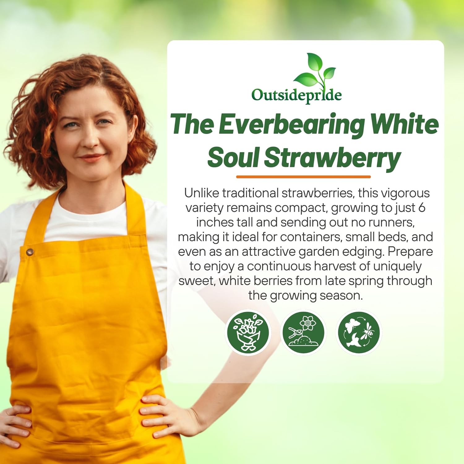 Strawberry White Ground Cover Plant