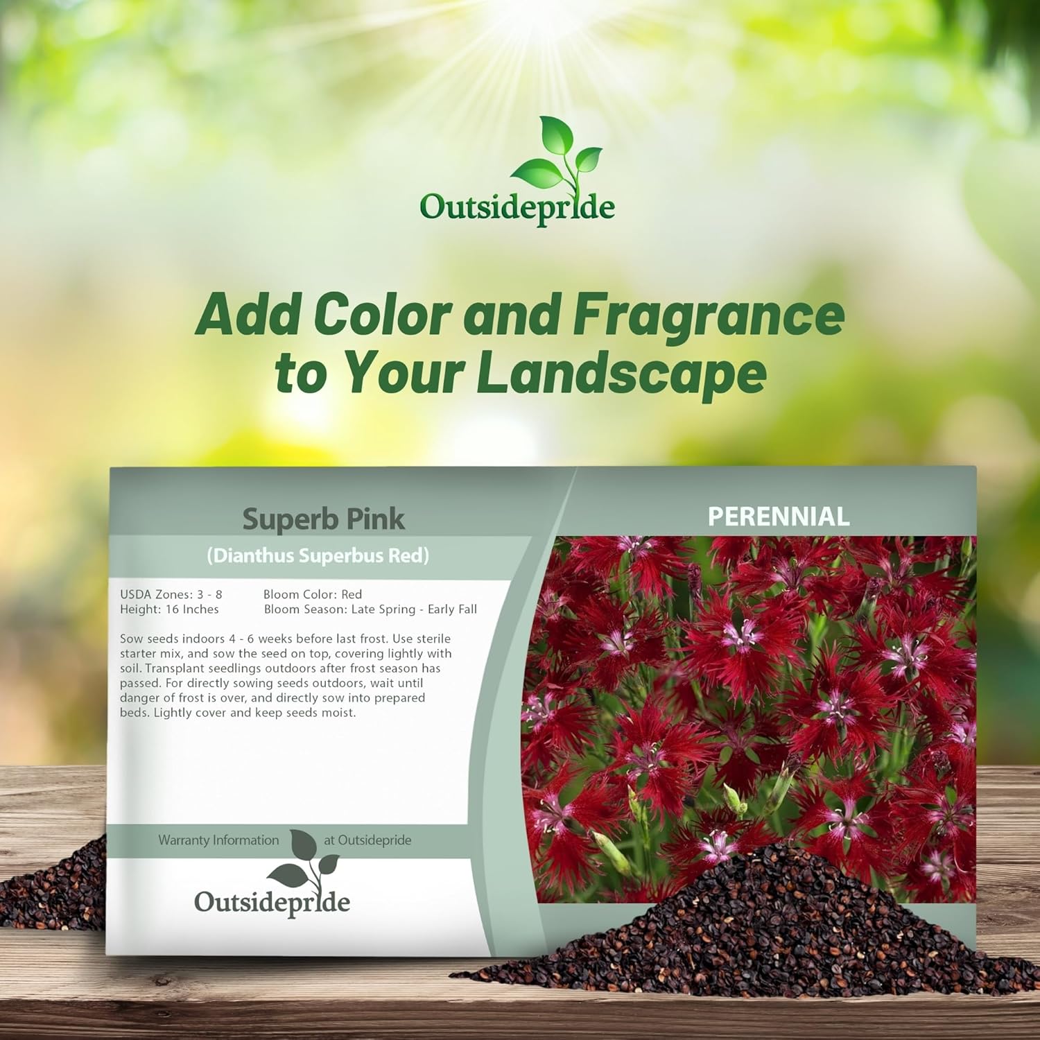 Dianthus Superbus Red Flower Seed Packet