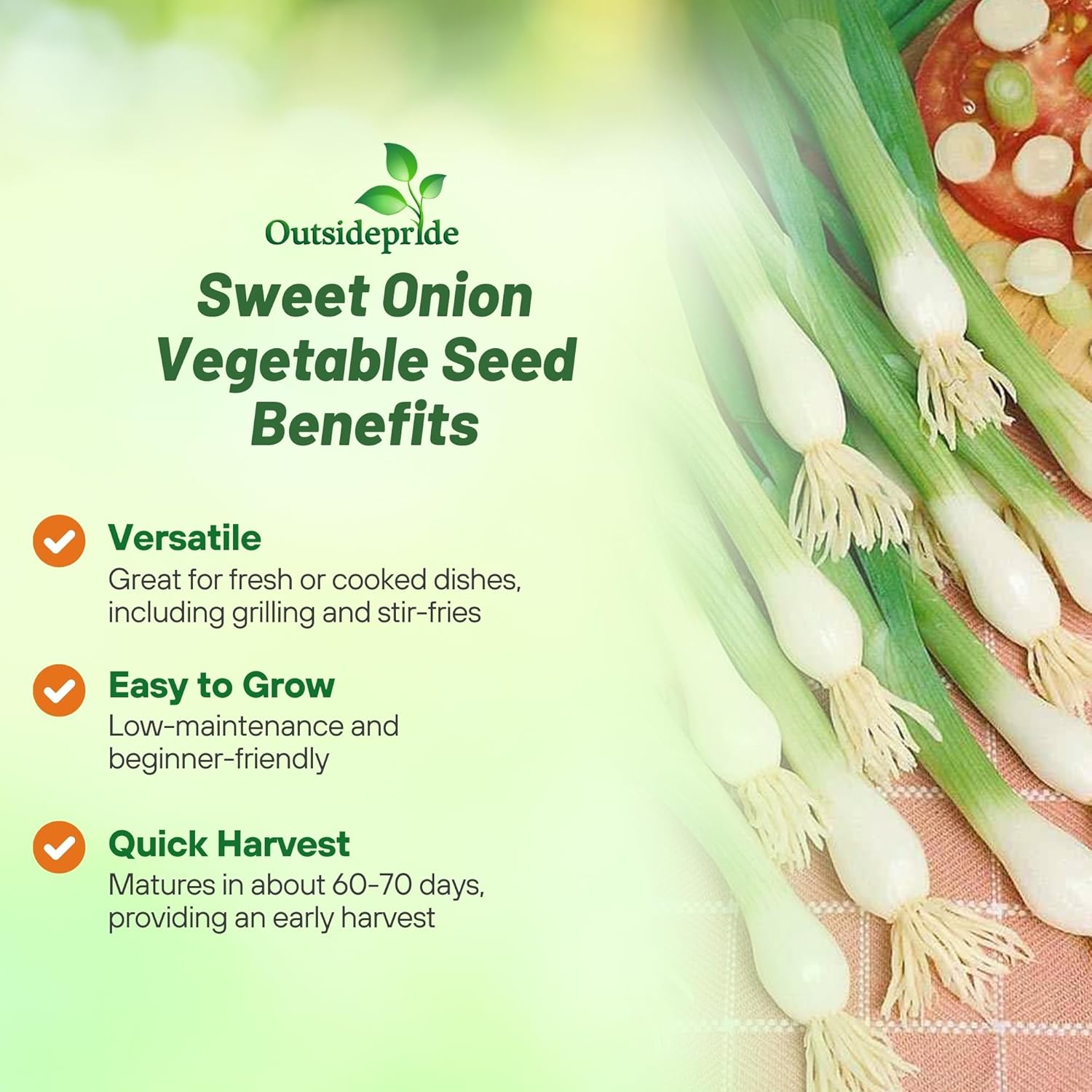 Sweet Bunching Onion Herb Garden
