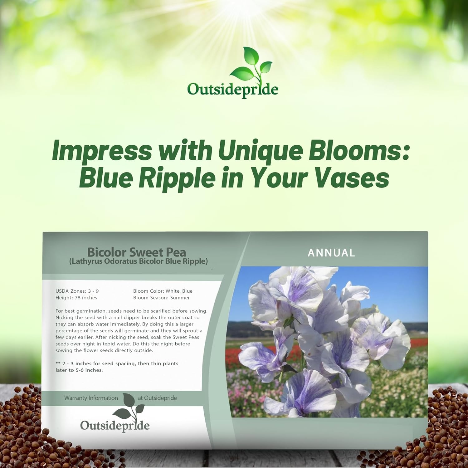 Sweet Pea Bicolor Blue Ripple Seed Packet