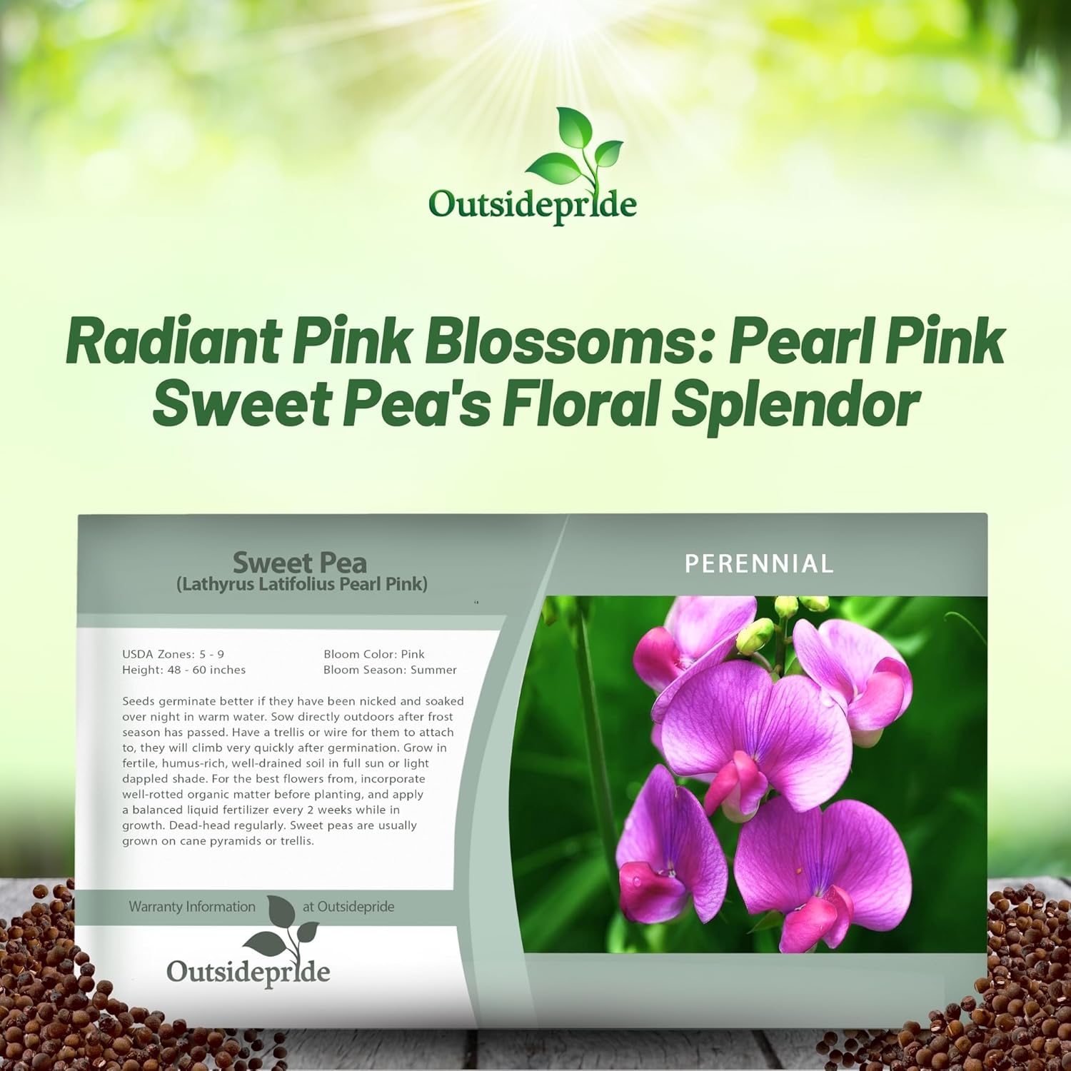 Sweet Pea Pearl Pink Seed Packet