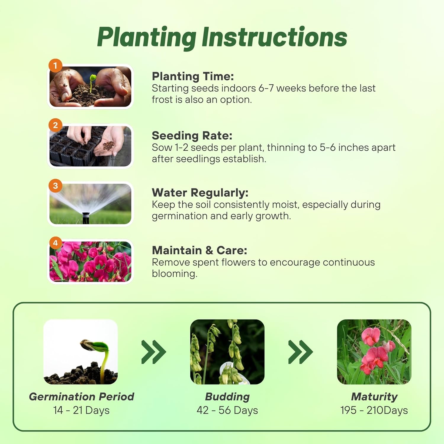 Sweet Peas Pearl Red Planting Directions