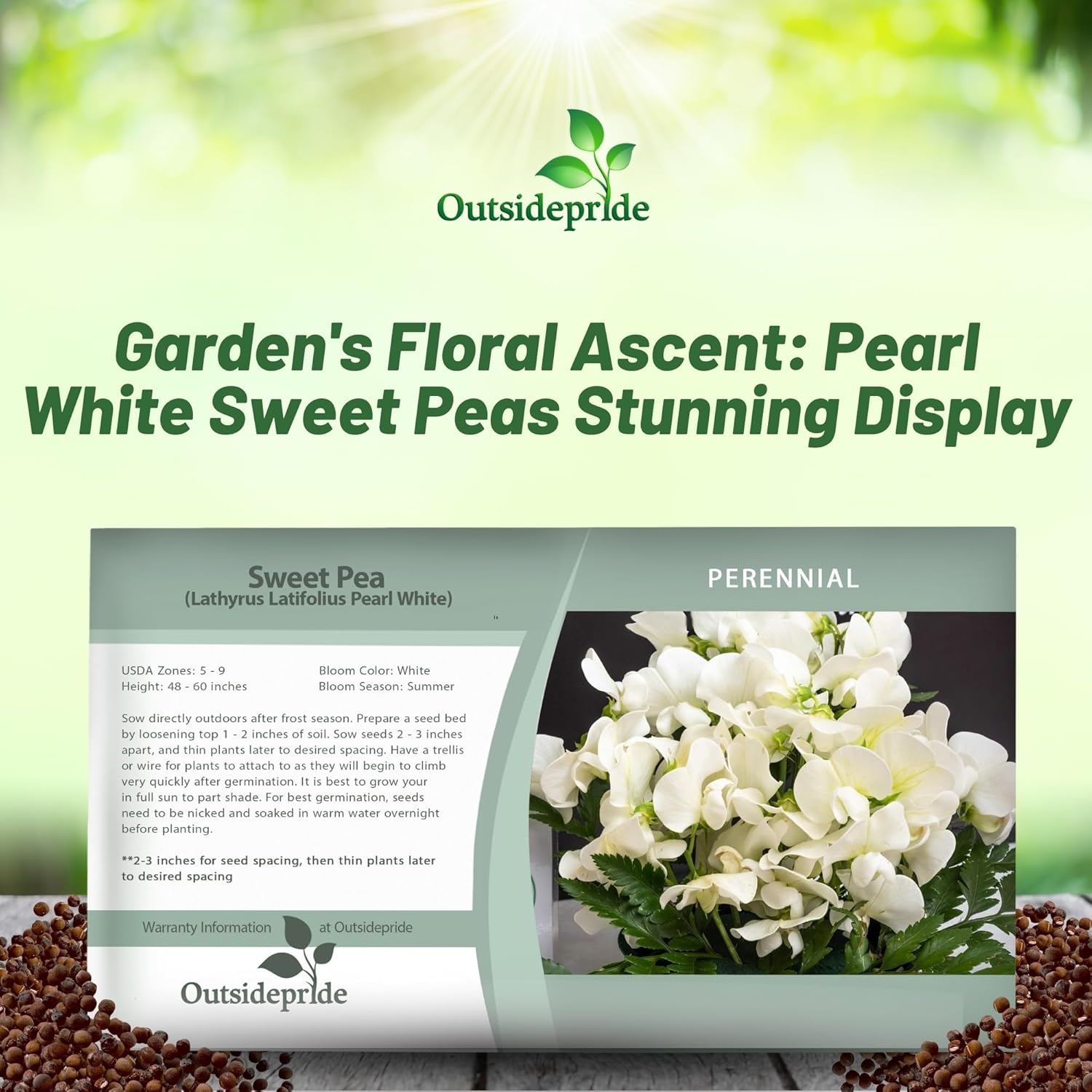 Sweet Pea Pearl White Flower Seed Packet