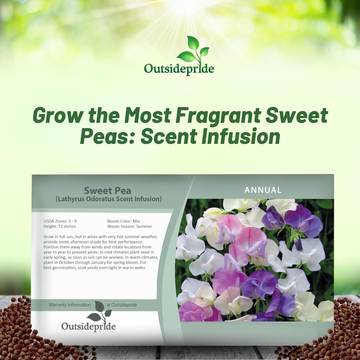 Sweet Pea Scent Infusion Seed Packet