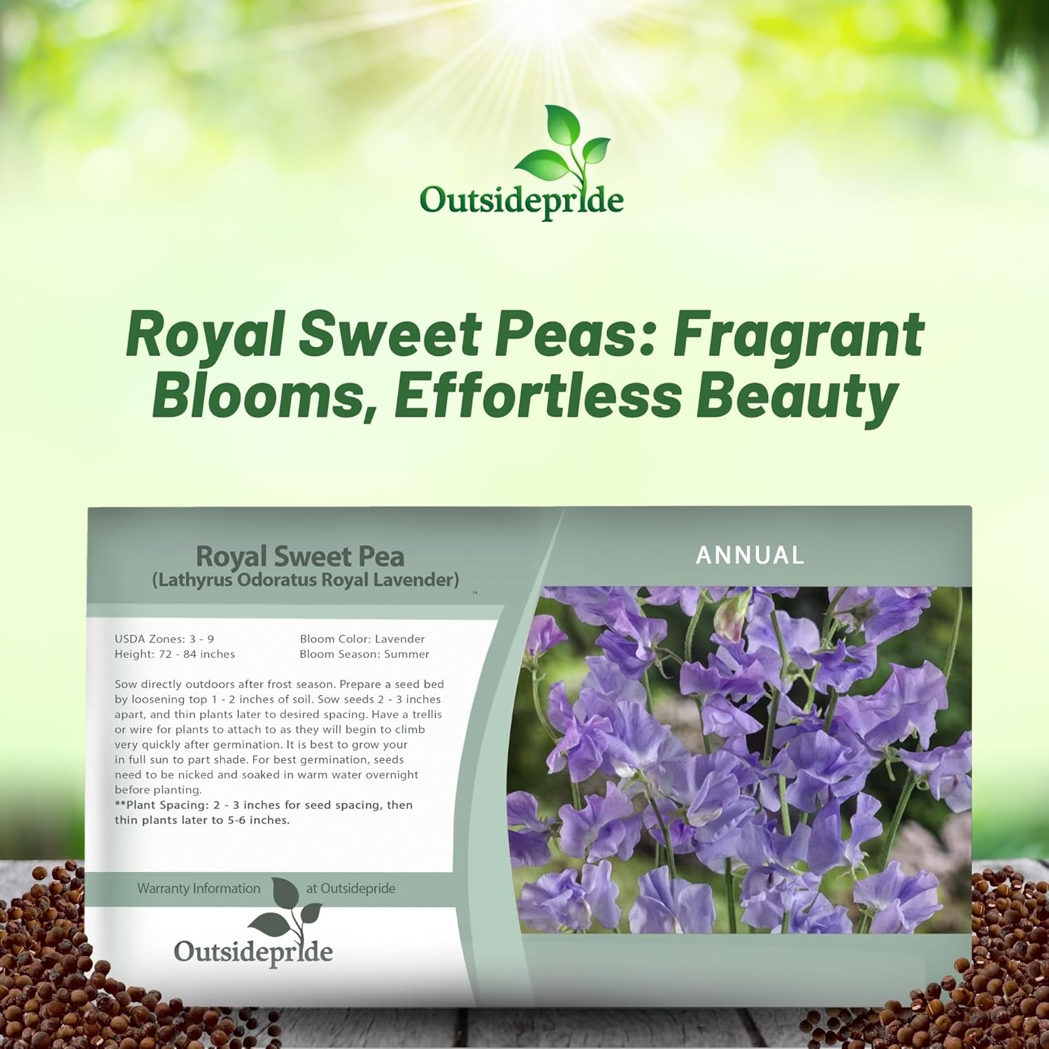 Sweet Pea Lavender Seed Packet