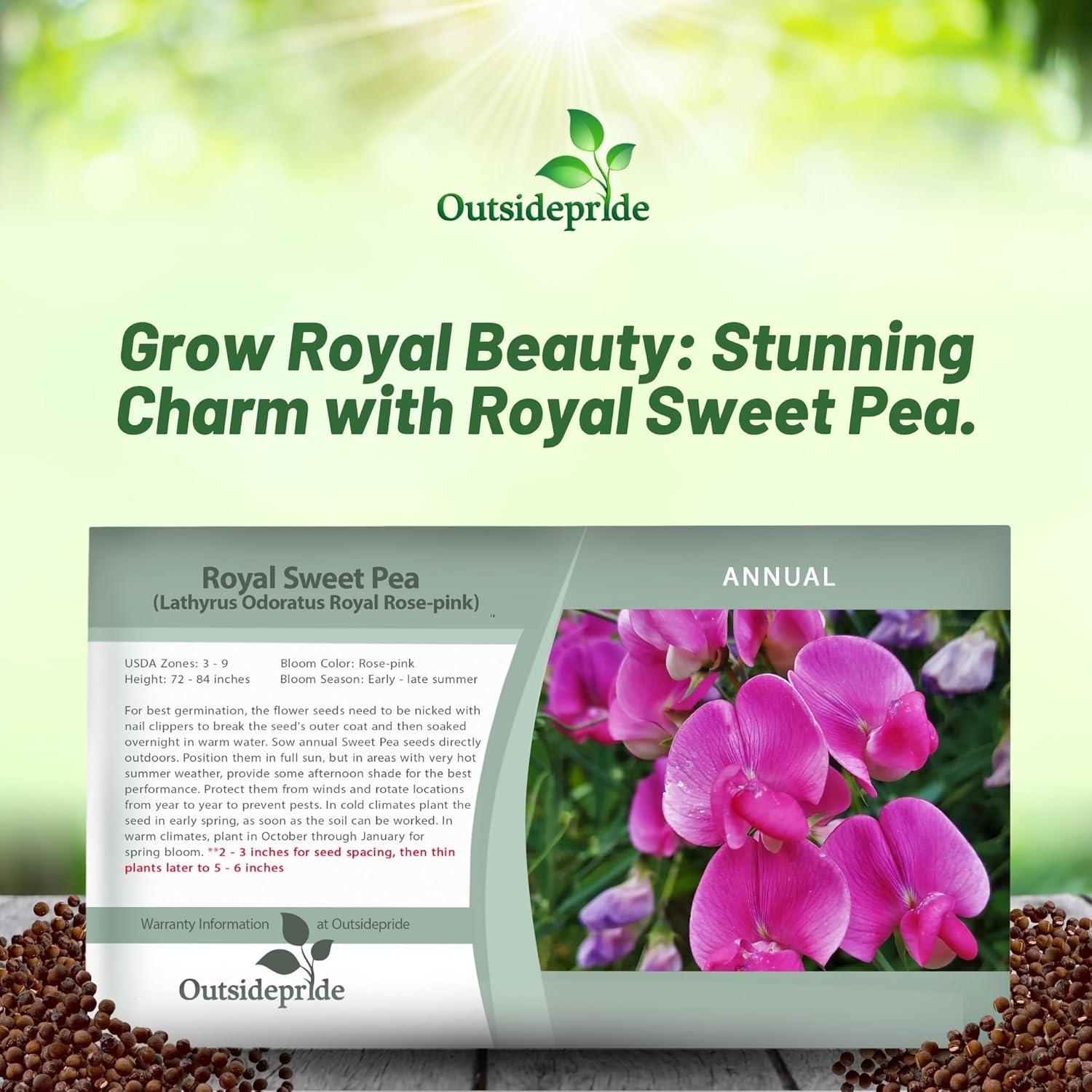 Sweet Pea Rose-pink Seed Packet