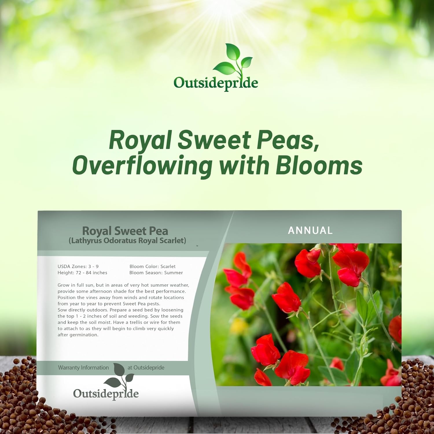 Fragrant Sweet Pea Scarlet Seed Packet