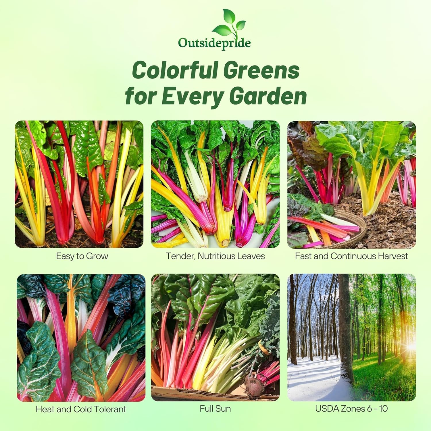 Swiss Chard Mix Vegetables