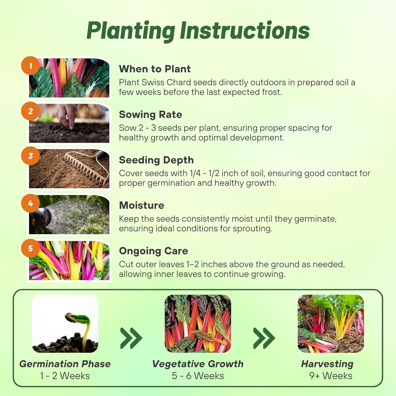Swiss Chard Mix Planting Directions