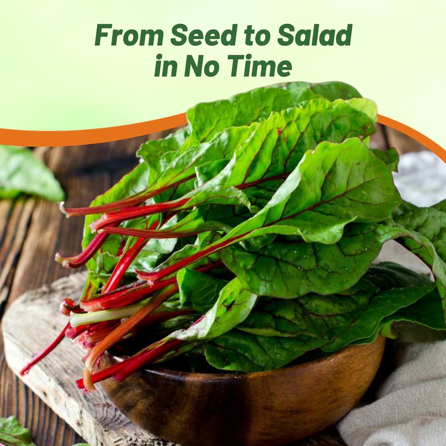 Nutritous Swiss Chard Red Plants
