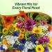 Cut Flower Seed Mixture