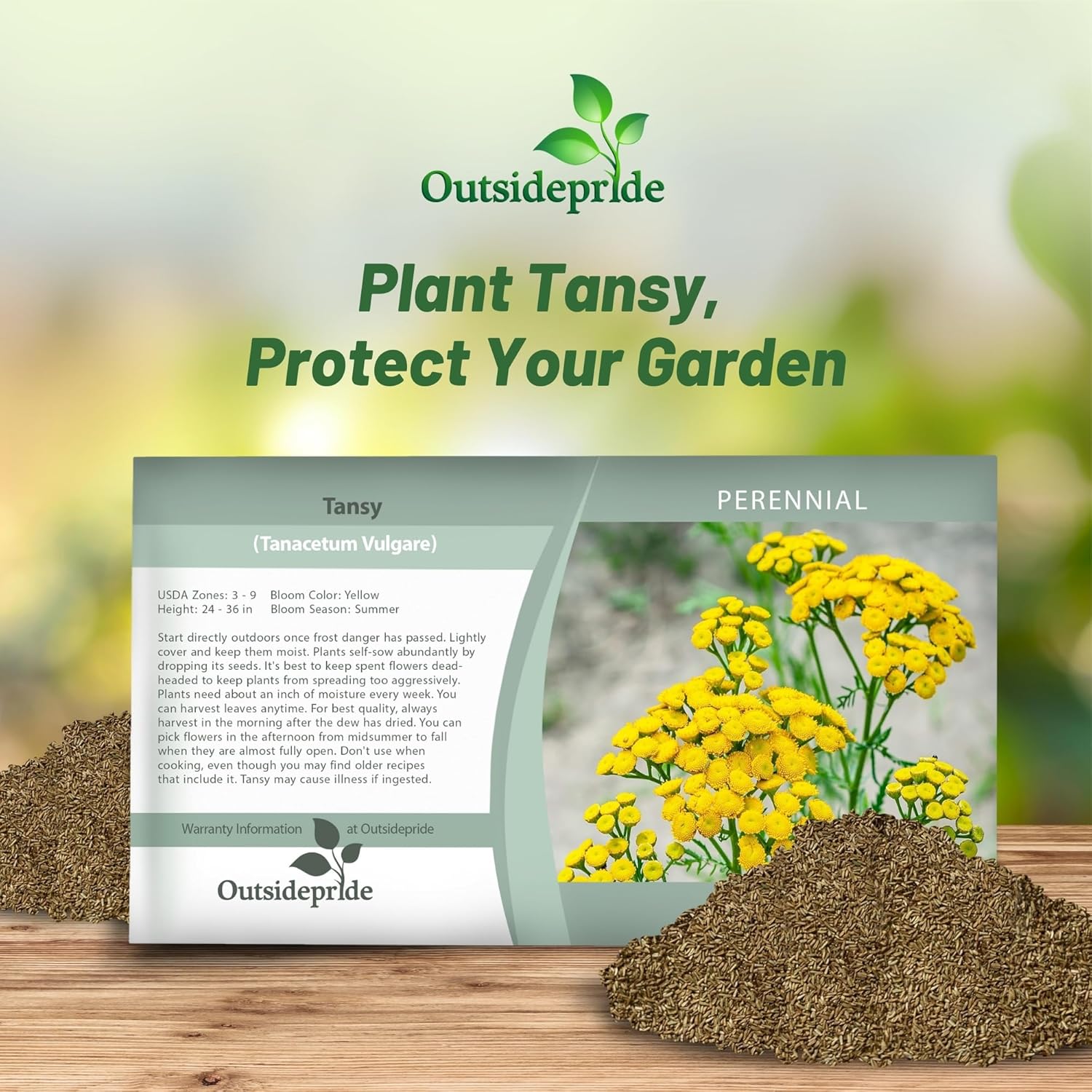 Tansy Flower Seed Packet