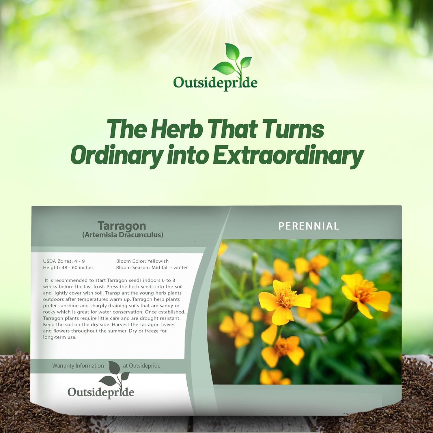 Tarragon Herb Seed Packet