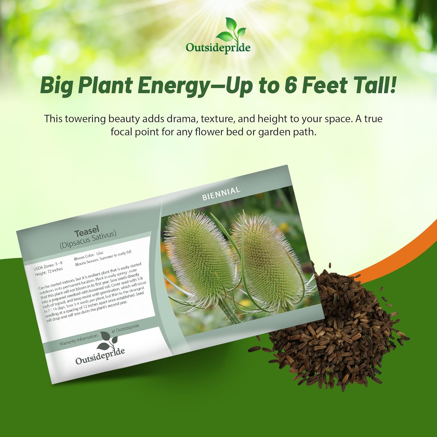 Teasel Herb Seed Packet