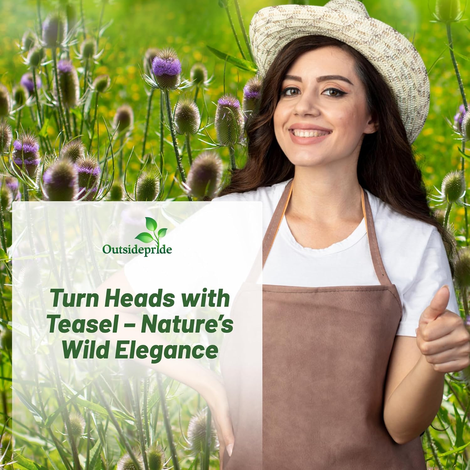 Deer Resistant Teasel Flowers