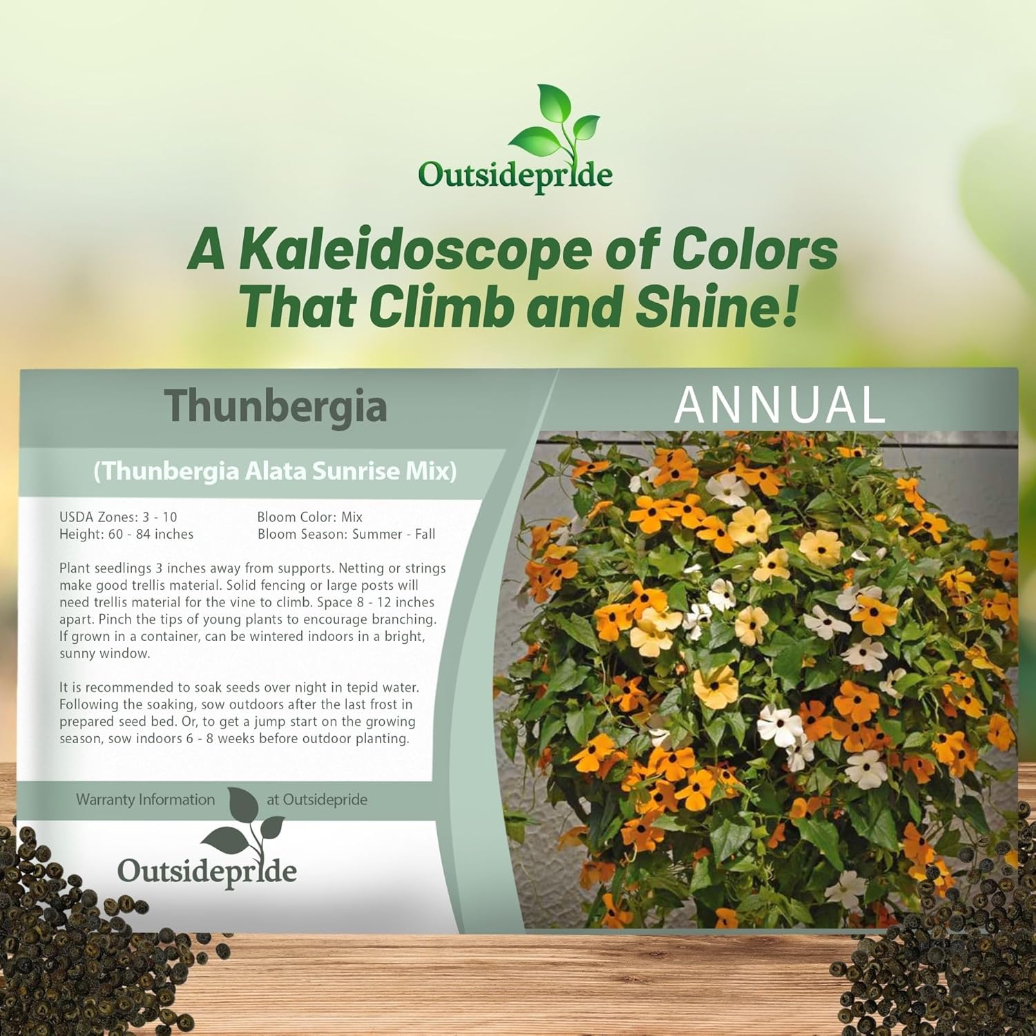 Black-eyed Susan Vine Seed Packet Mix