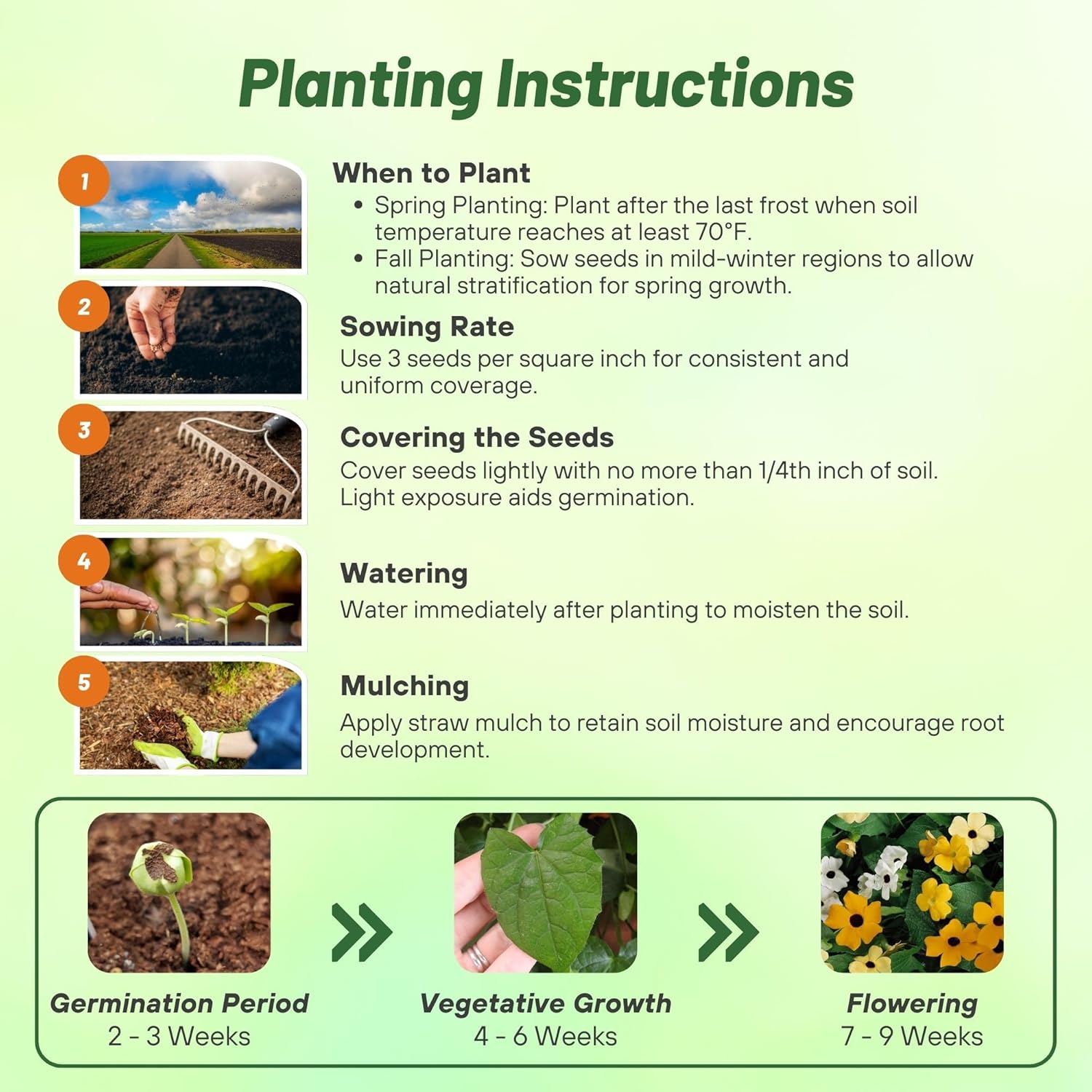 Thunbergia Vine Flower Mix Planting Directions